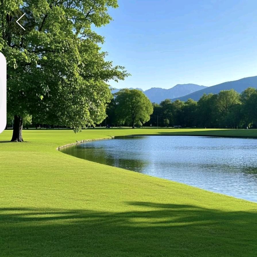 仁智