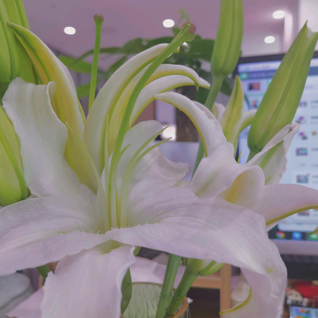 💗ꦿ初᭄訫໊ོএꦿ᭄