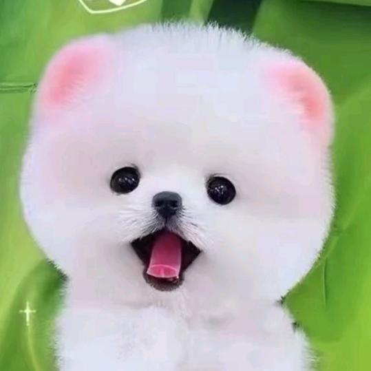 eryangge8109