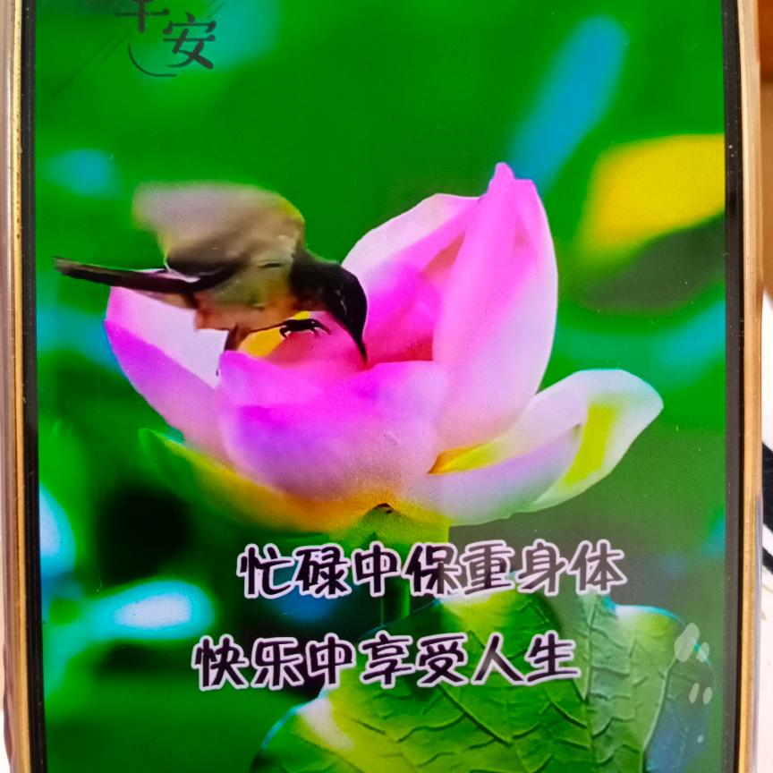 人生如戏，戏如人生！