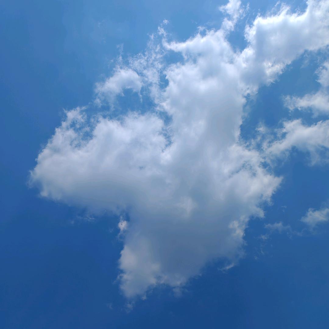 齐河县安家不动产有限公司