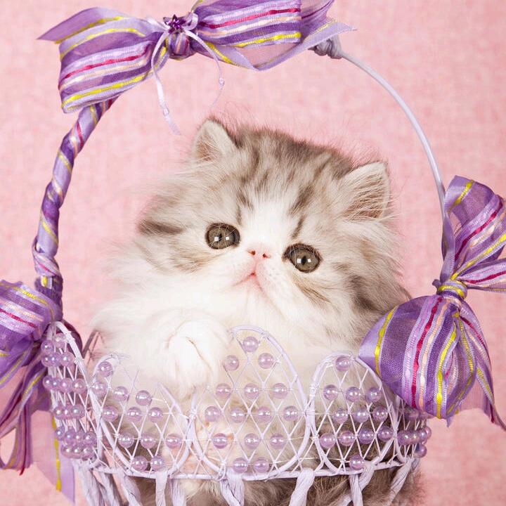 一一輩子忘不了你