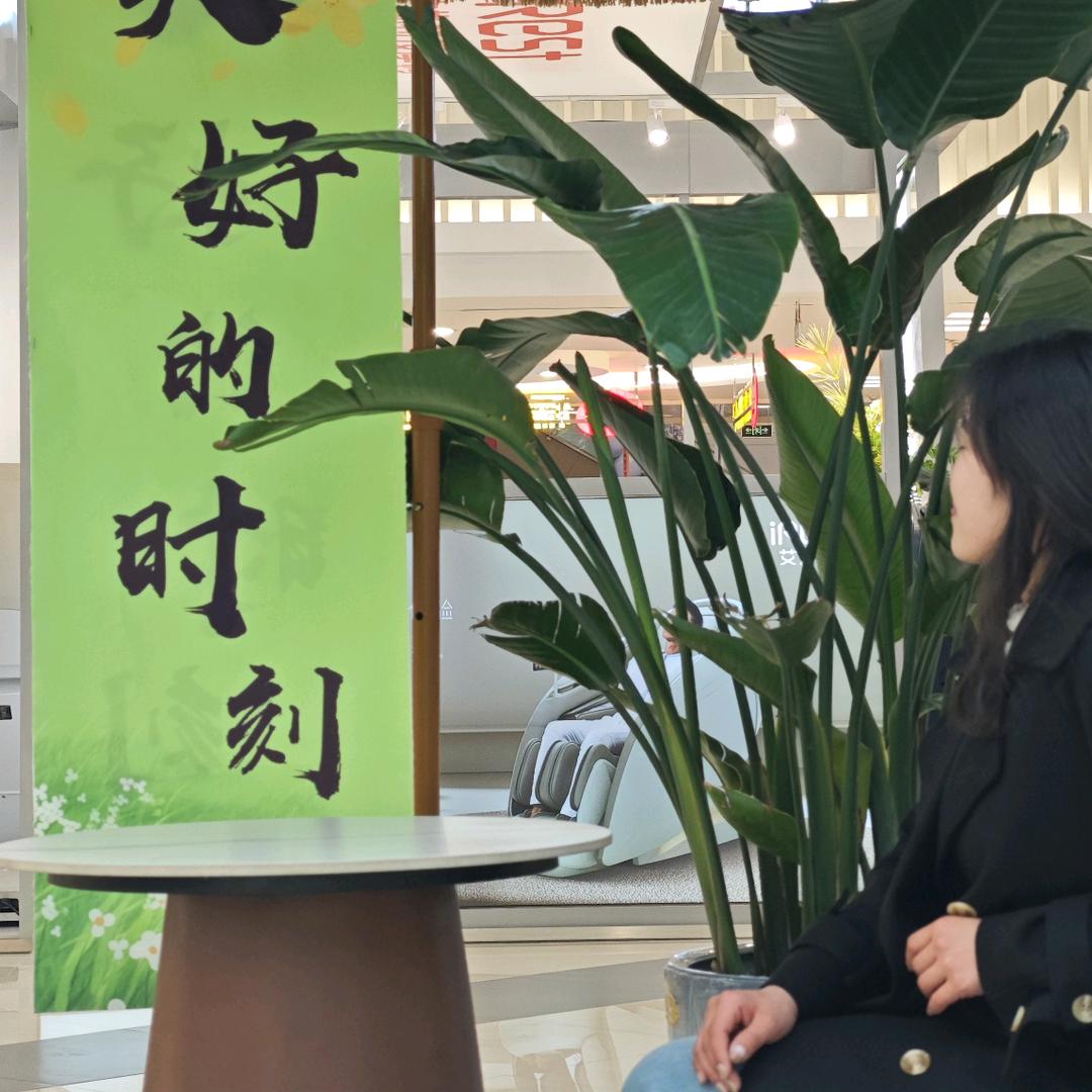 不会抓娃娃
