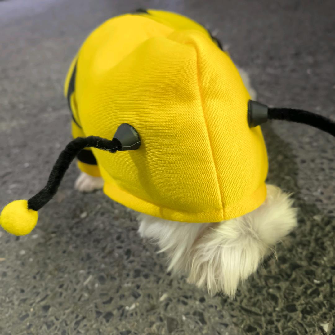 给我一首歌的时间去见你