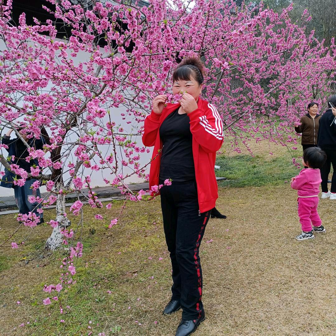 覃丽华8624