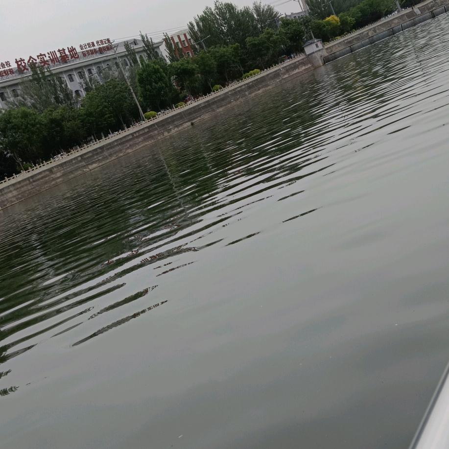 为你倾心