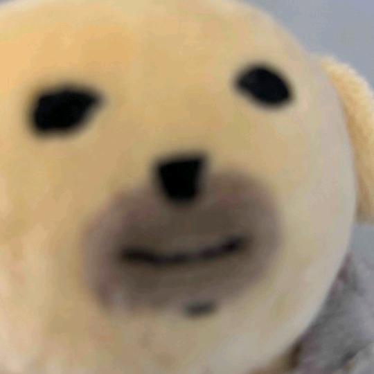 酱酱狗（升级版）