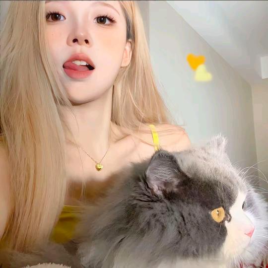 桃子味落日（👀主叶点🥚）