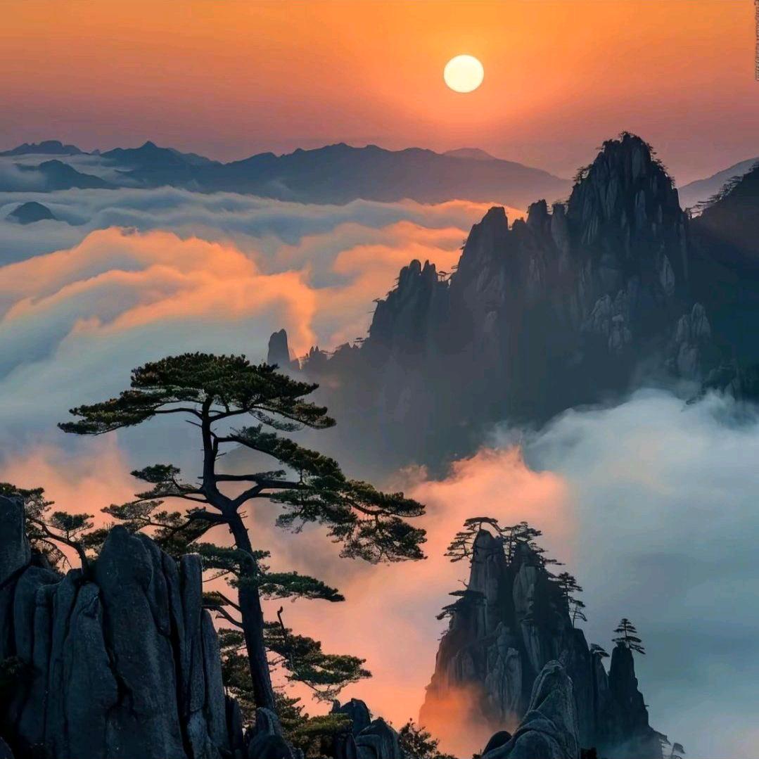 天涯客 悟道