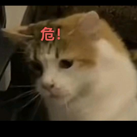 阿洋