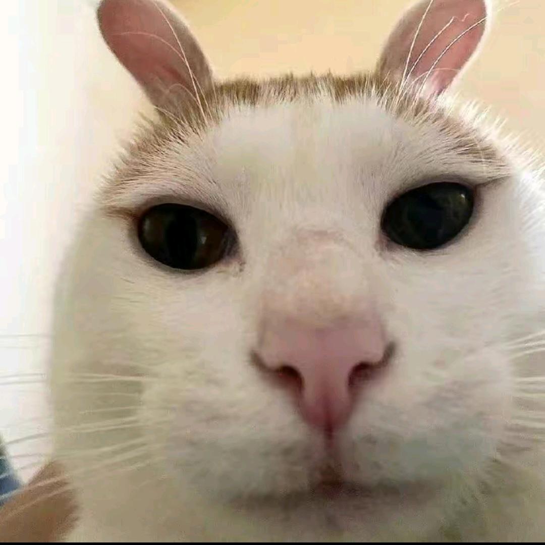 我也想年少有为