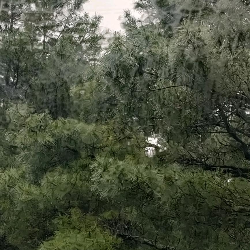 静心