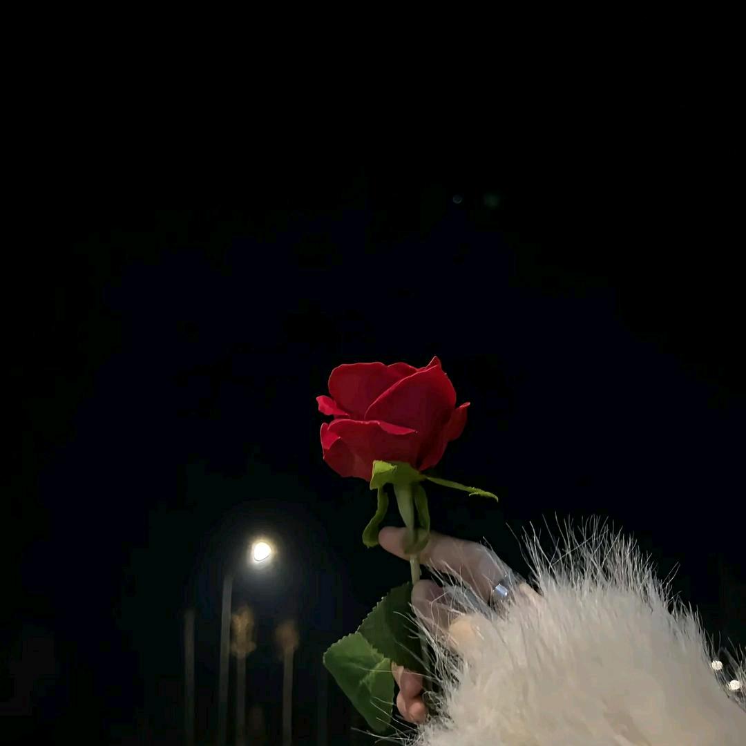 ꧁꫞꯭余生我独行💞 ꧔ꦿ꧂