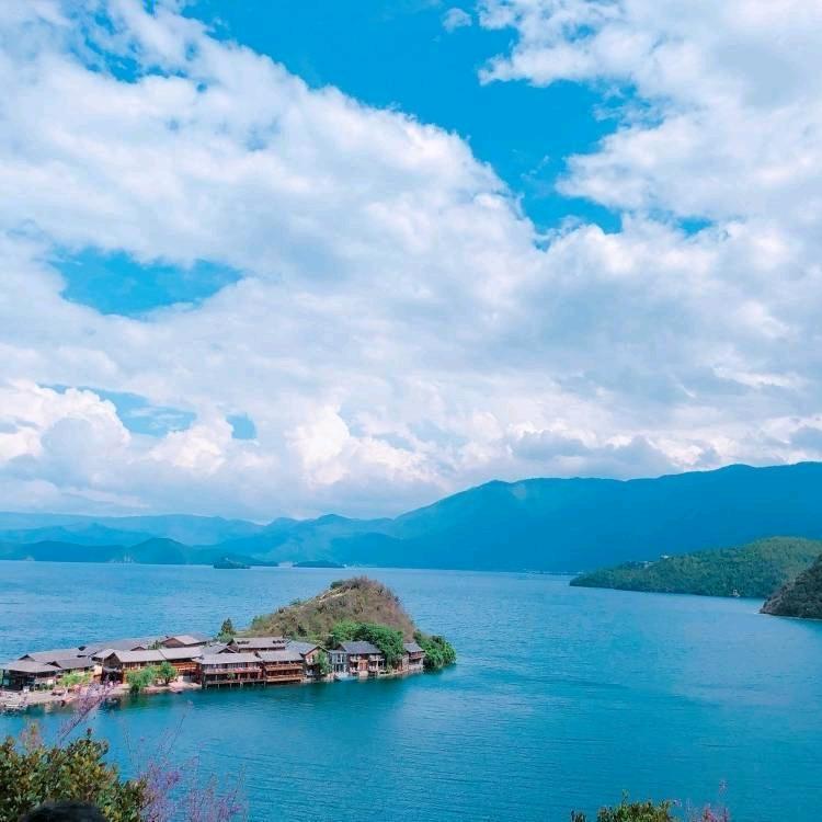 梦瑶