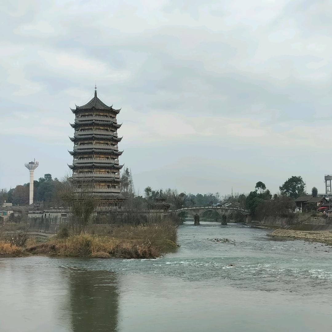 菜籽花花🐶🐶