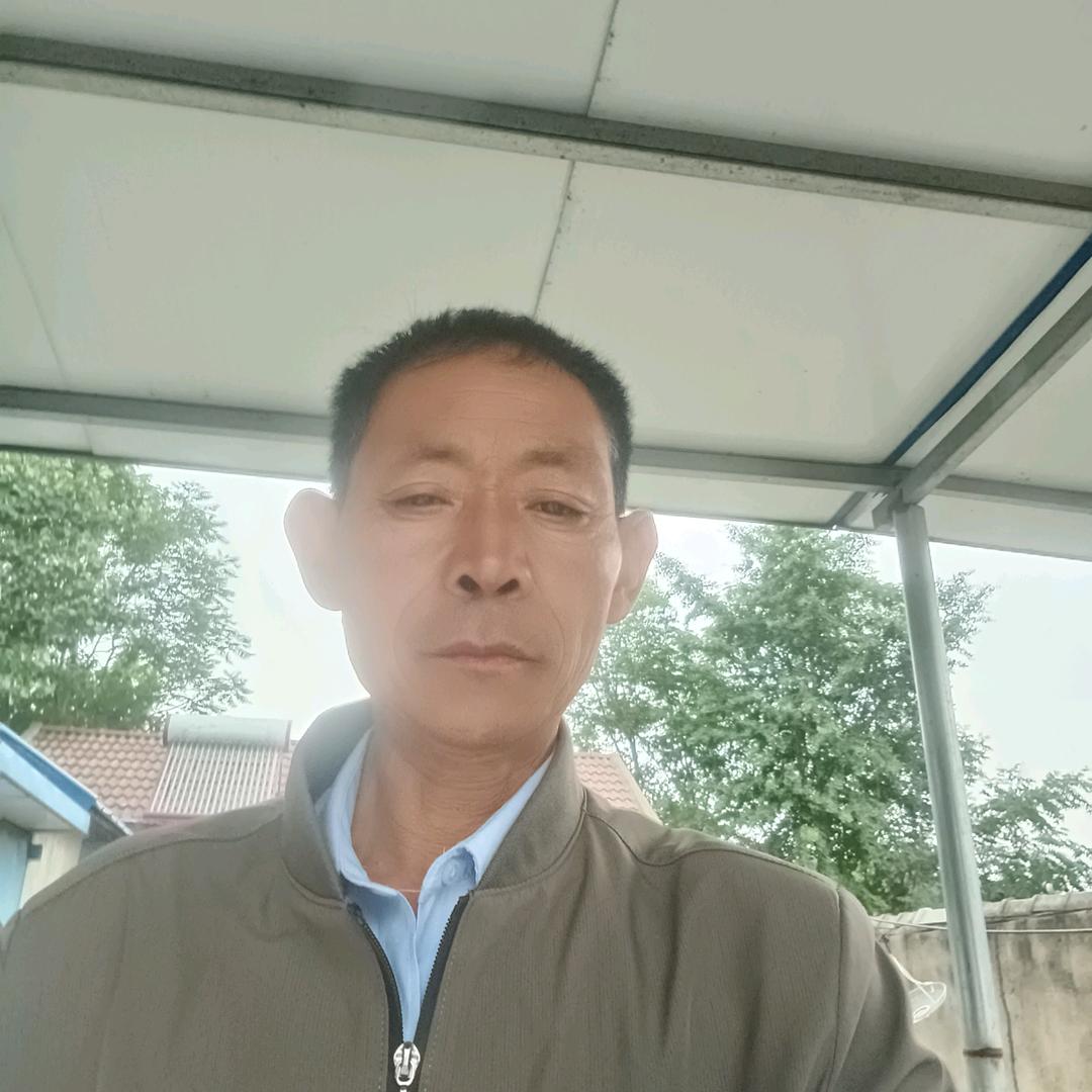 问世间情为何物