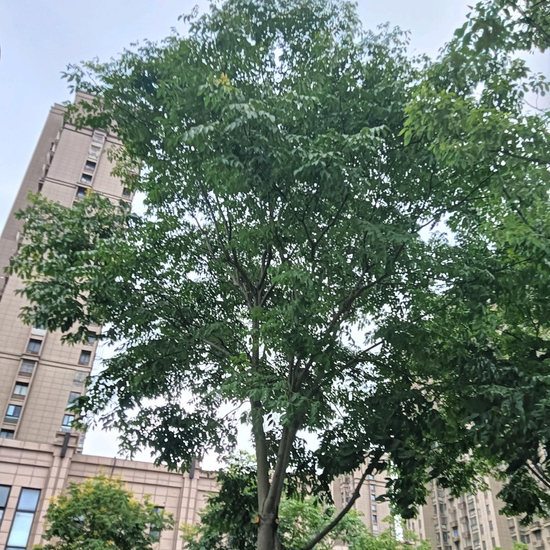 健康平安每一天,Wgm