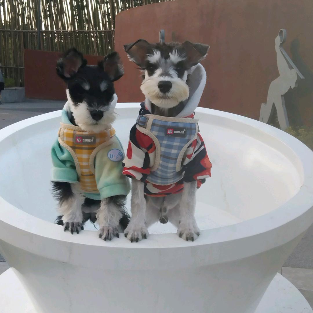 旺仔宝贝