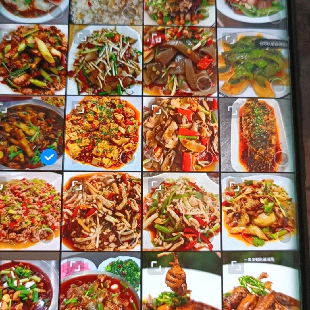 牛羊肉粉技术分享直播间