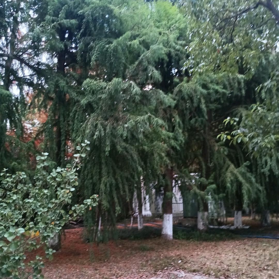 岁月静好