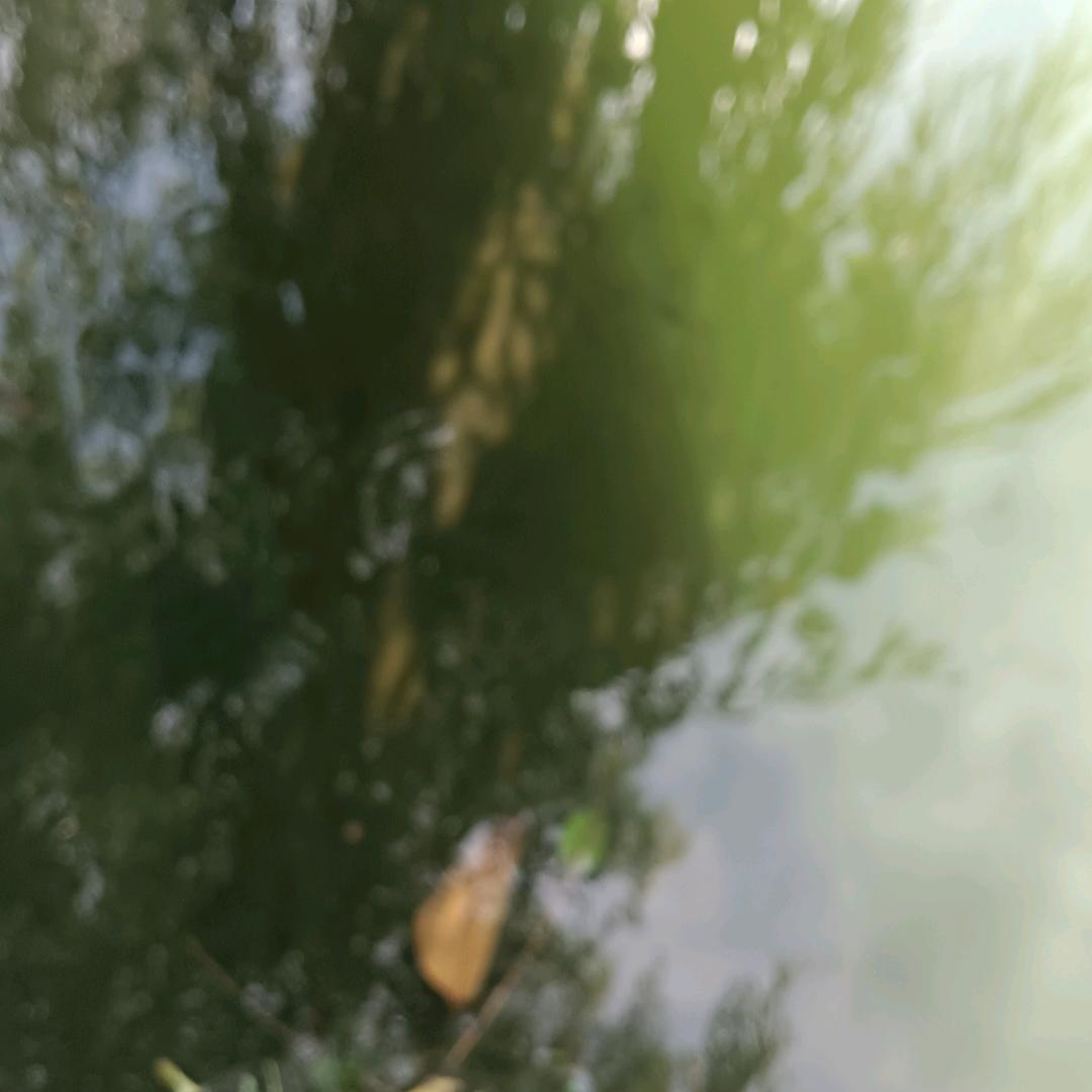 郑总1314520