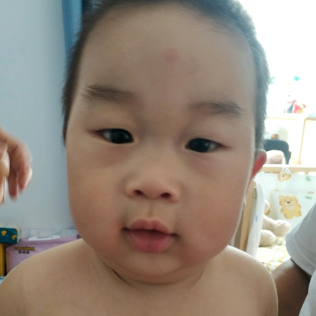 多乐，，多米