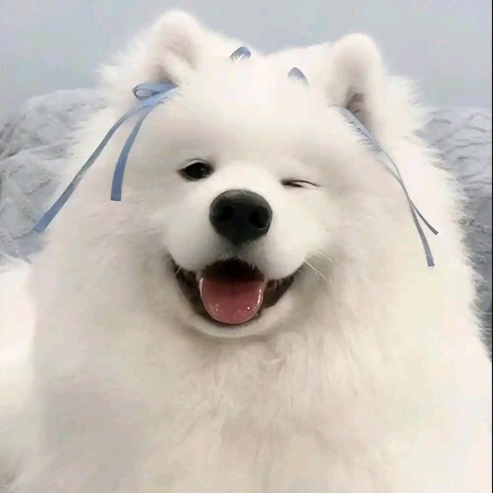 徐州小杨