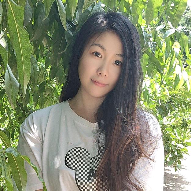 苏珊 ³
