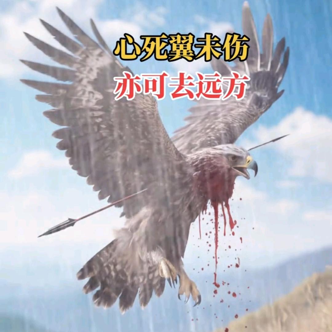 从此星空无爱情