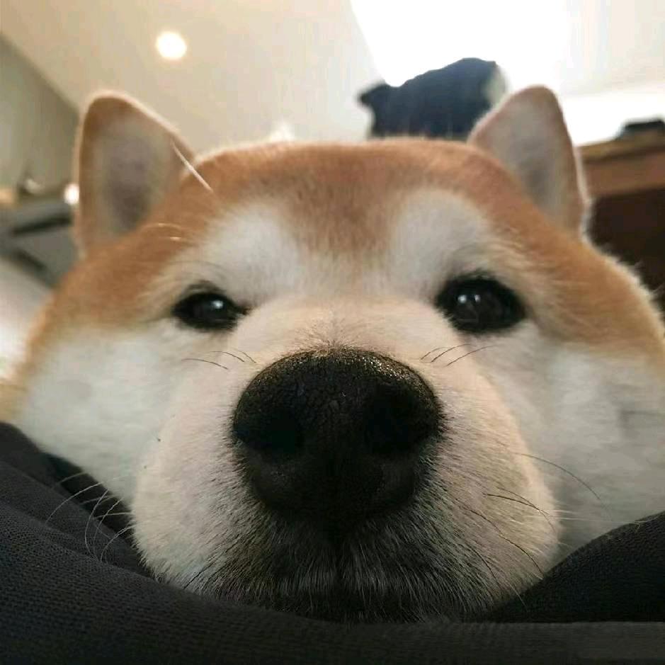 舒音音