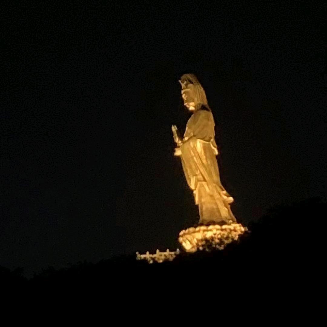 柿柿如意