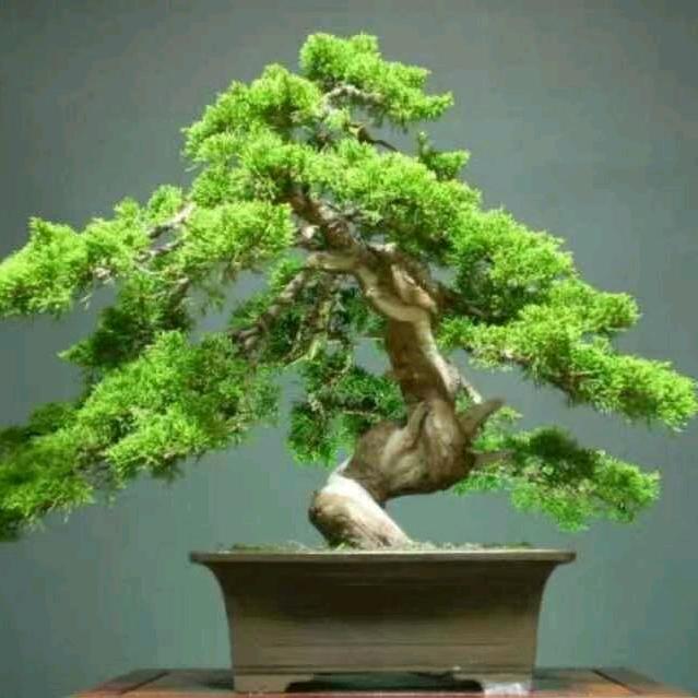 智慧