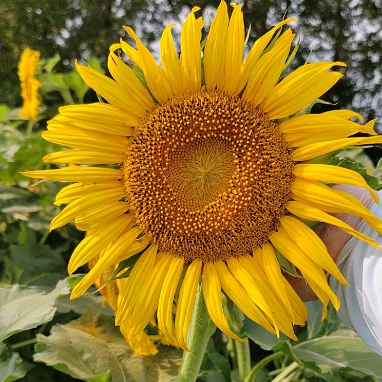 ᭄习💞᪲惯ღ᭄有你💞᪲ღ᭄꧔