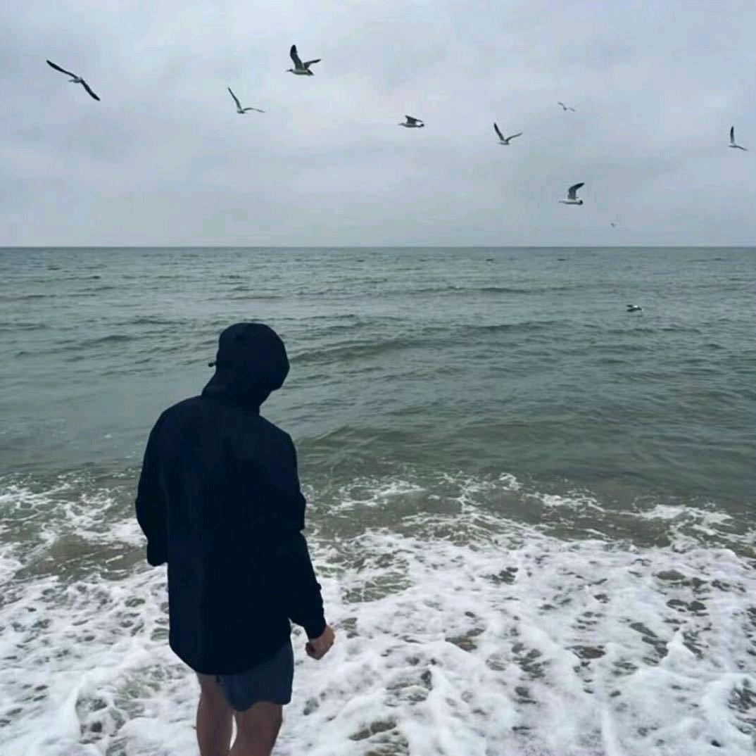ㅤ ㅤ ㅤ