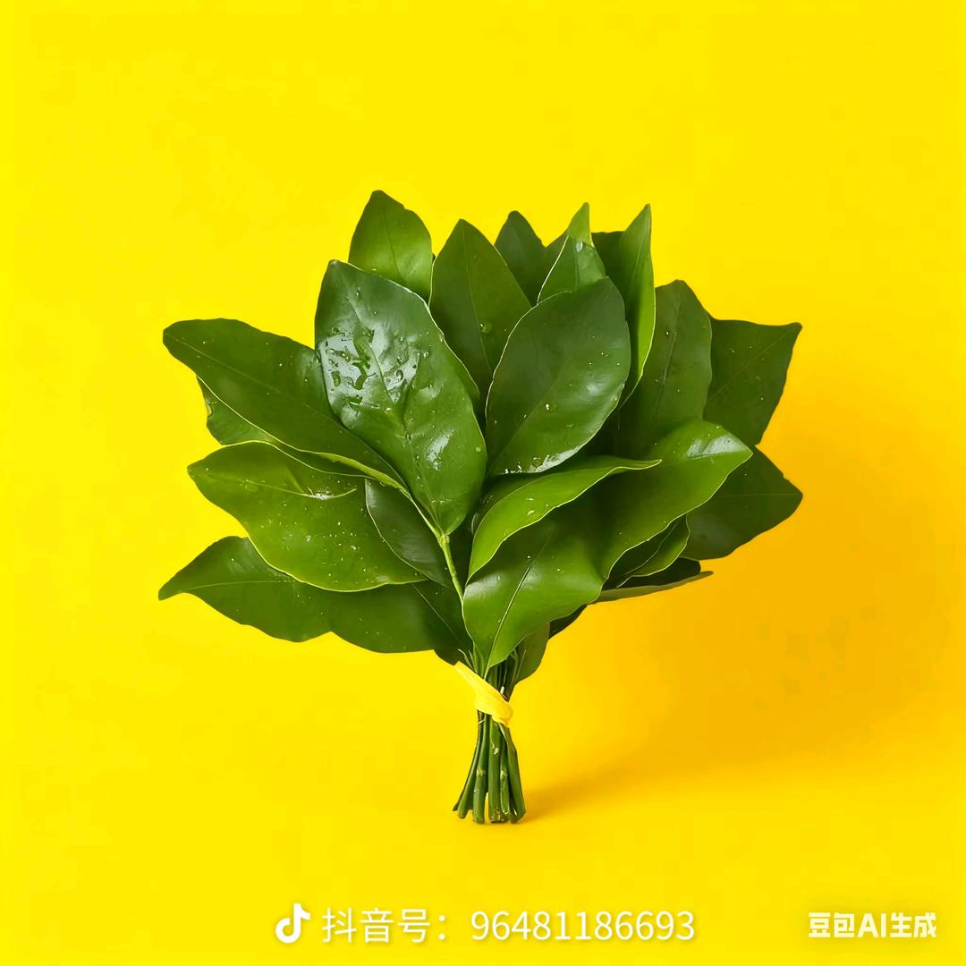 四方.财来