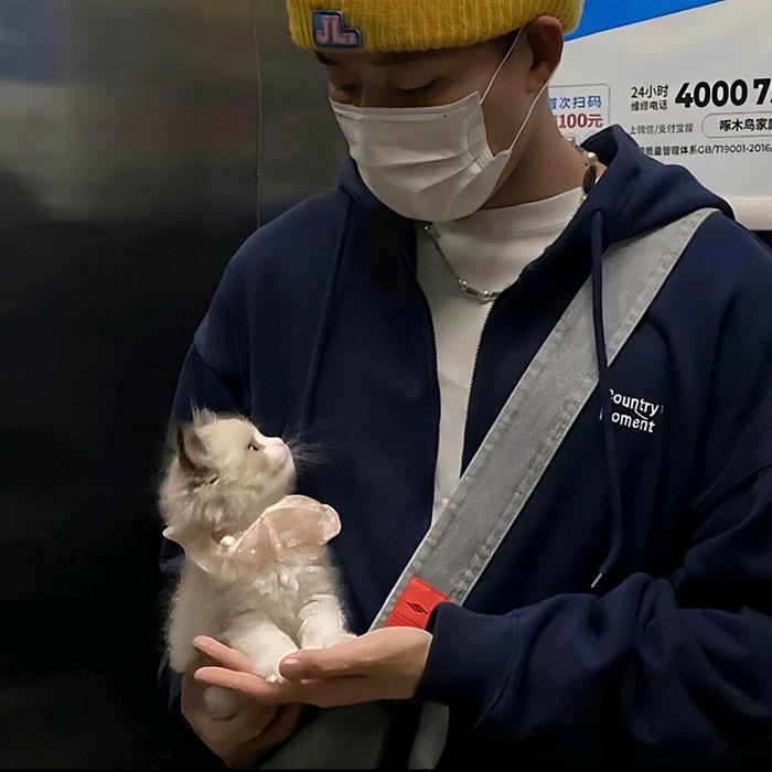 隔壁老王有秋葵