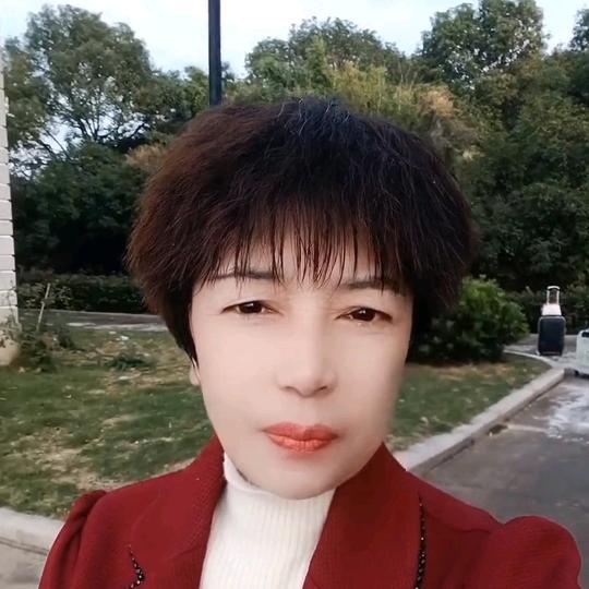 平阴琴姐
