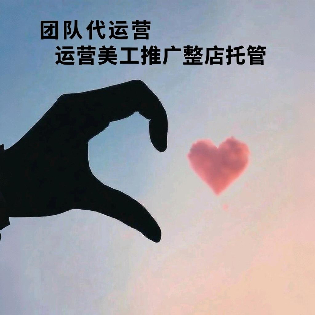 阿阳-电商代运营服务商