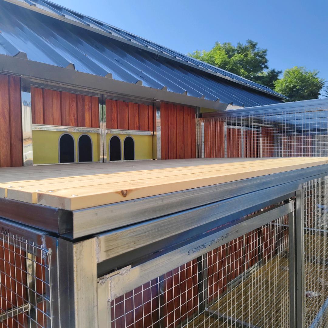 鸽舍百叶窗鸽具