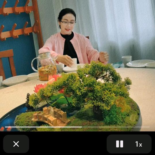 英子66