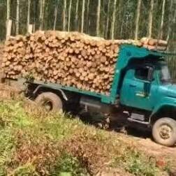 司机老板1832683447