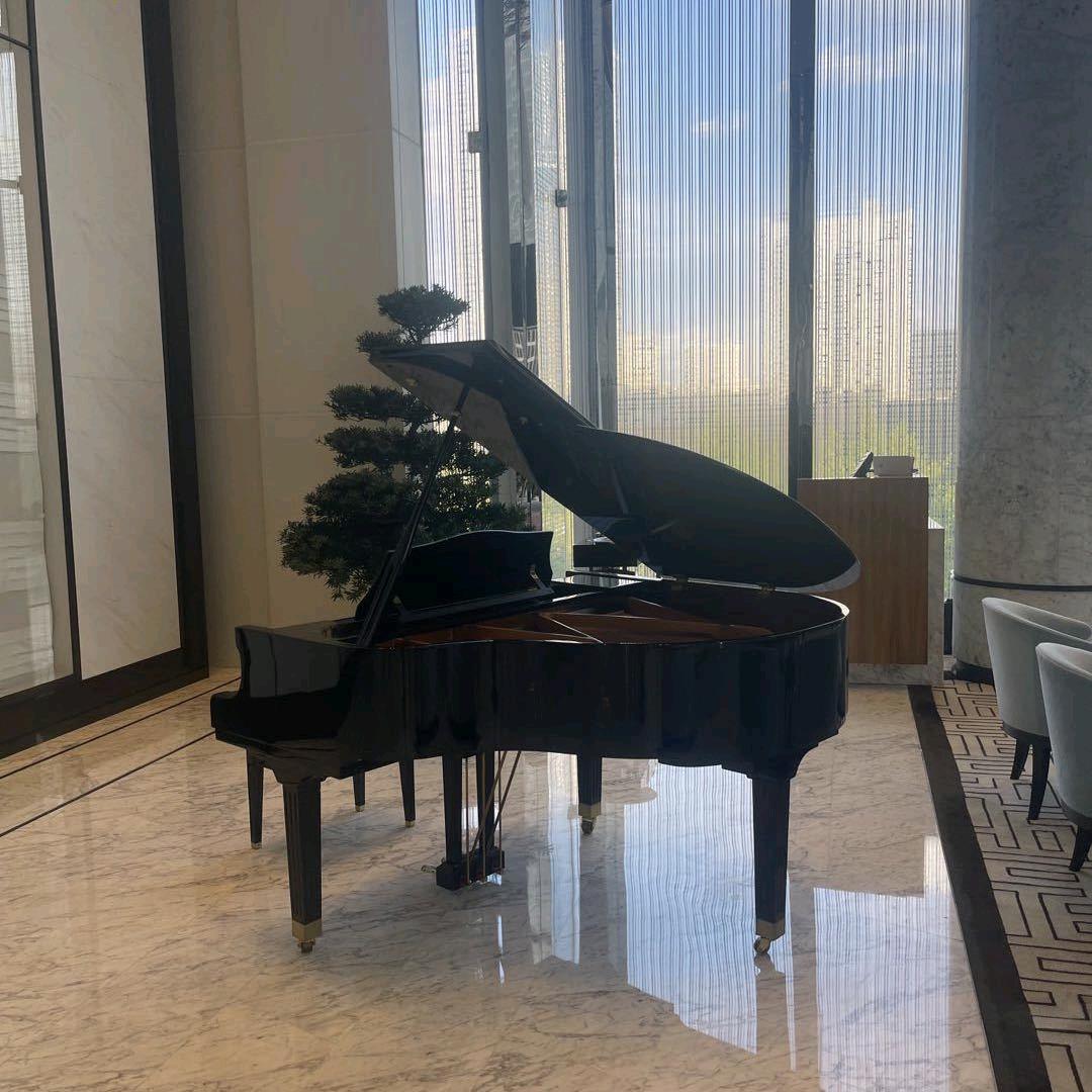 🌸🌸多多🌸🌸