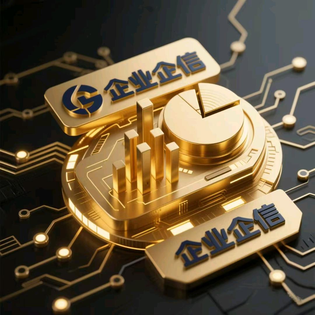 辇道科技企业咨询 阿应