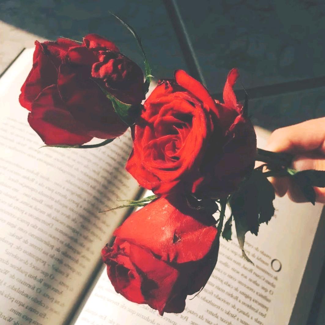 零点好书📖