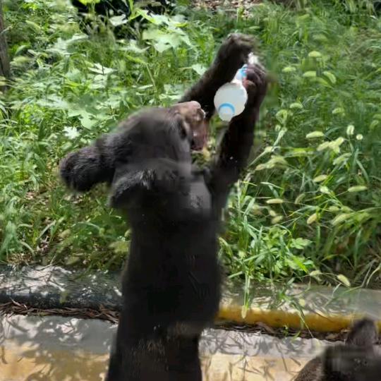 喜欢台风的日子。