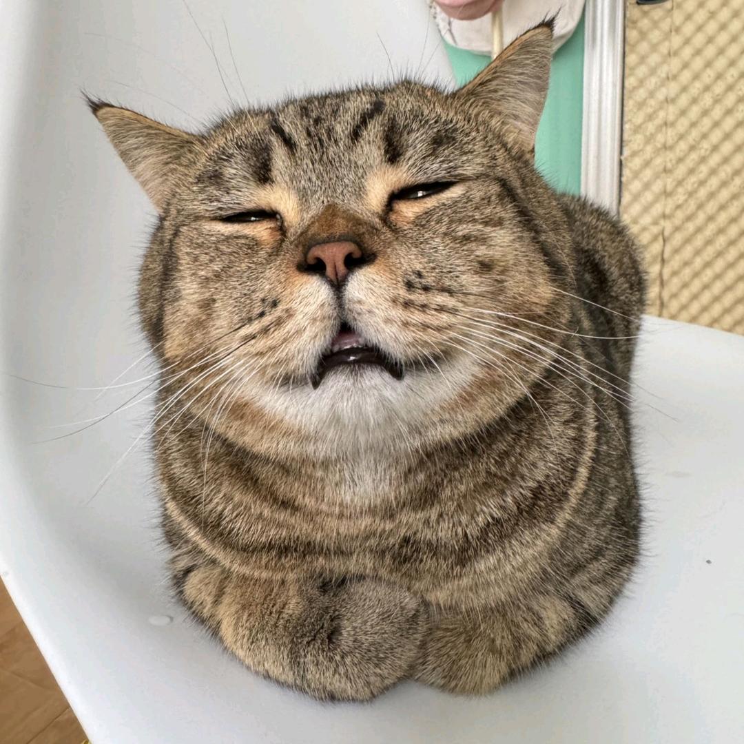 风间澈