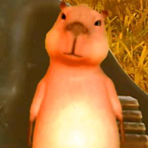 松鼠