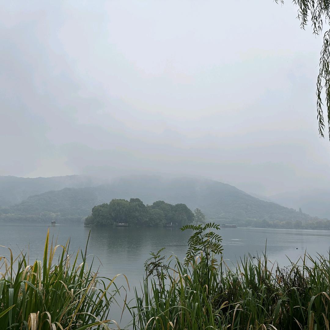 二八扛