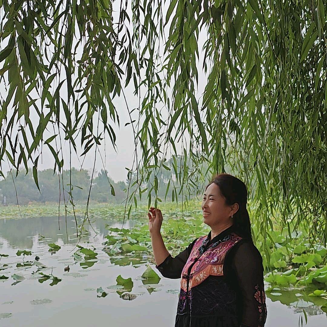 晚风拂柳