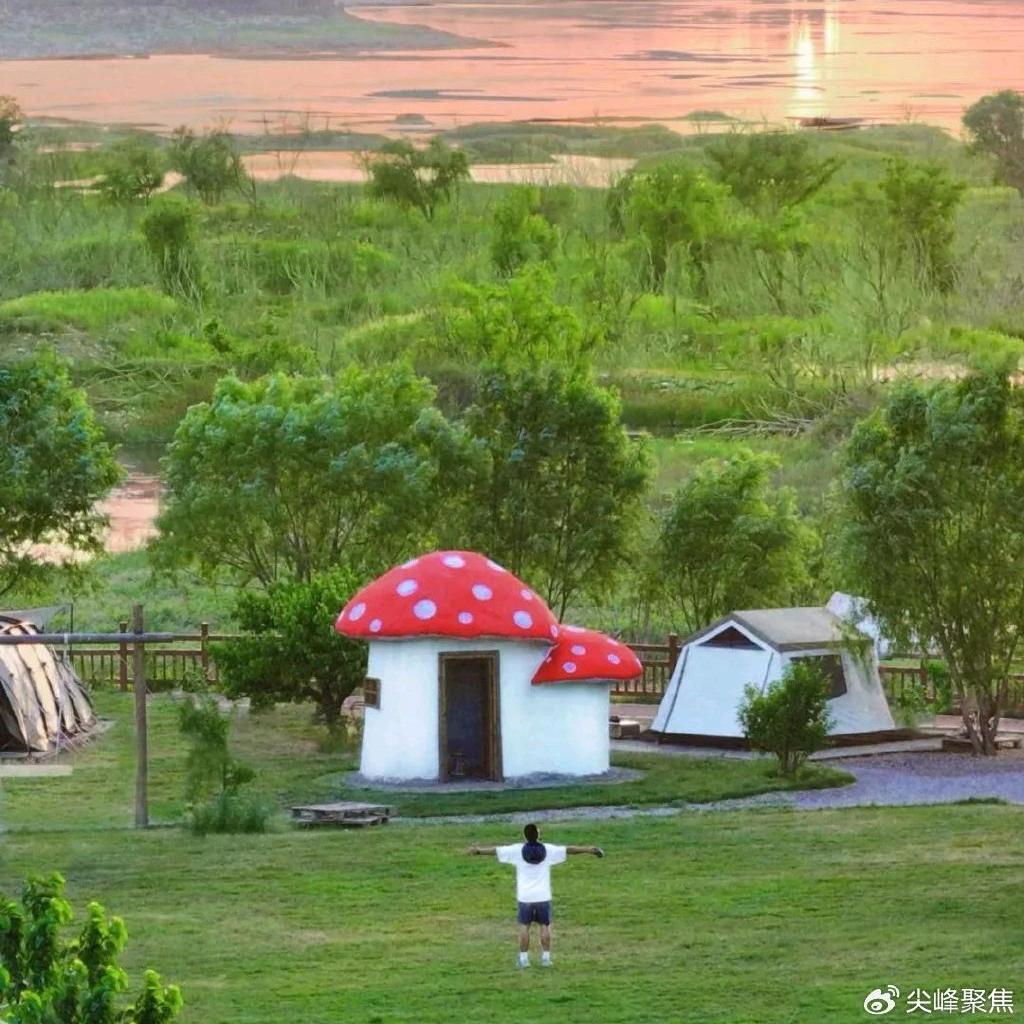 助理分享好物